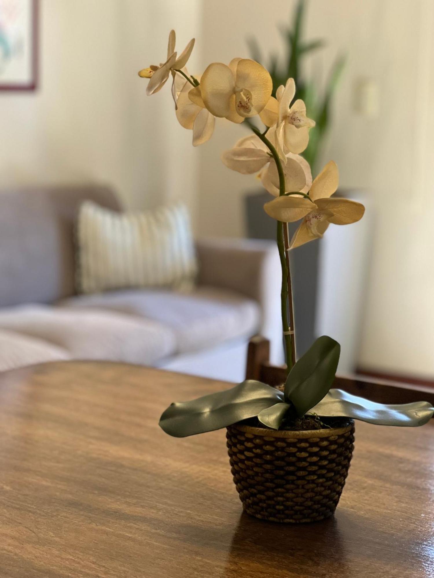 Flora Apartments Puerto Iguazú Zewnętrze zdjęcie