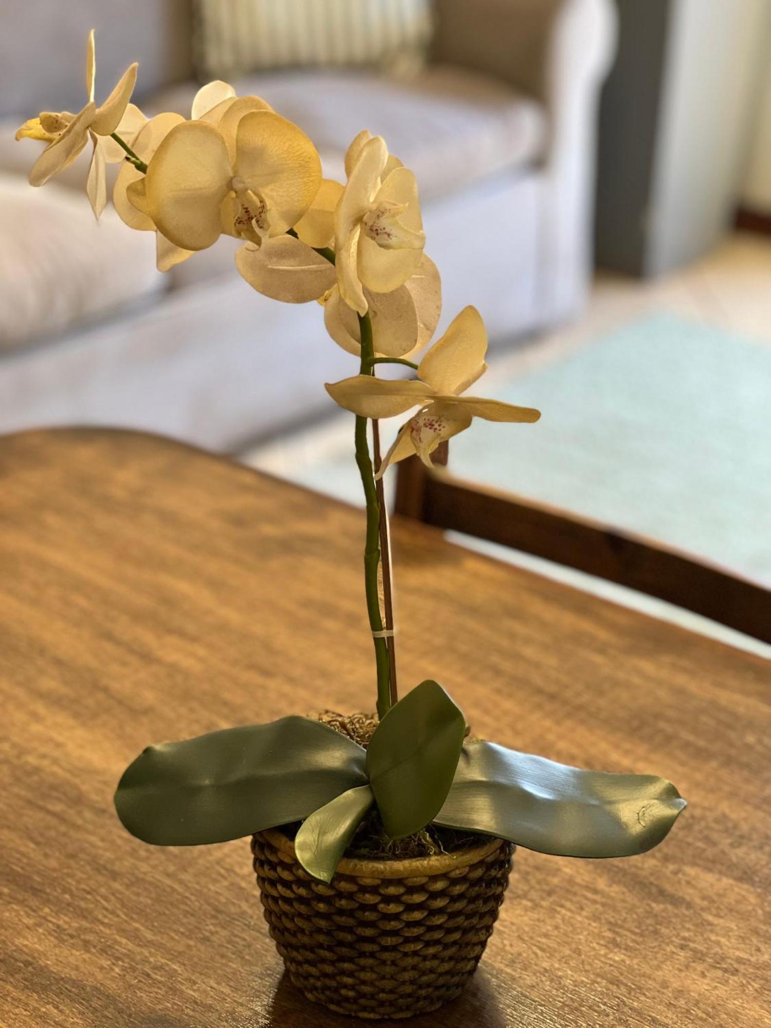 Flora Apartments Puerto Iguazú Zewnętrze zdjęcie