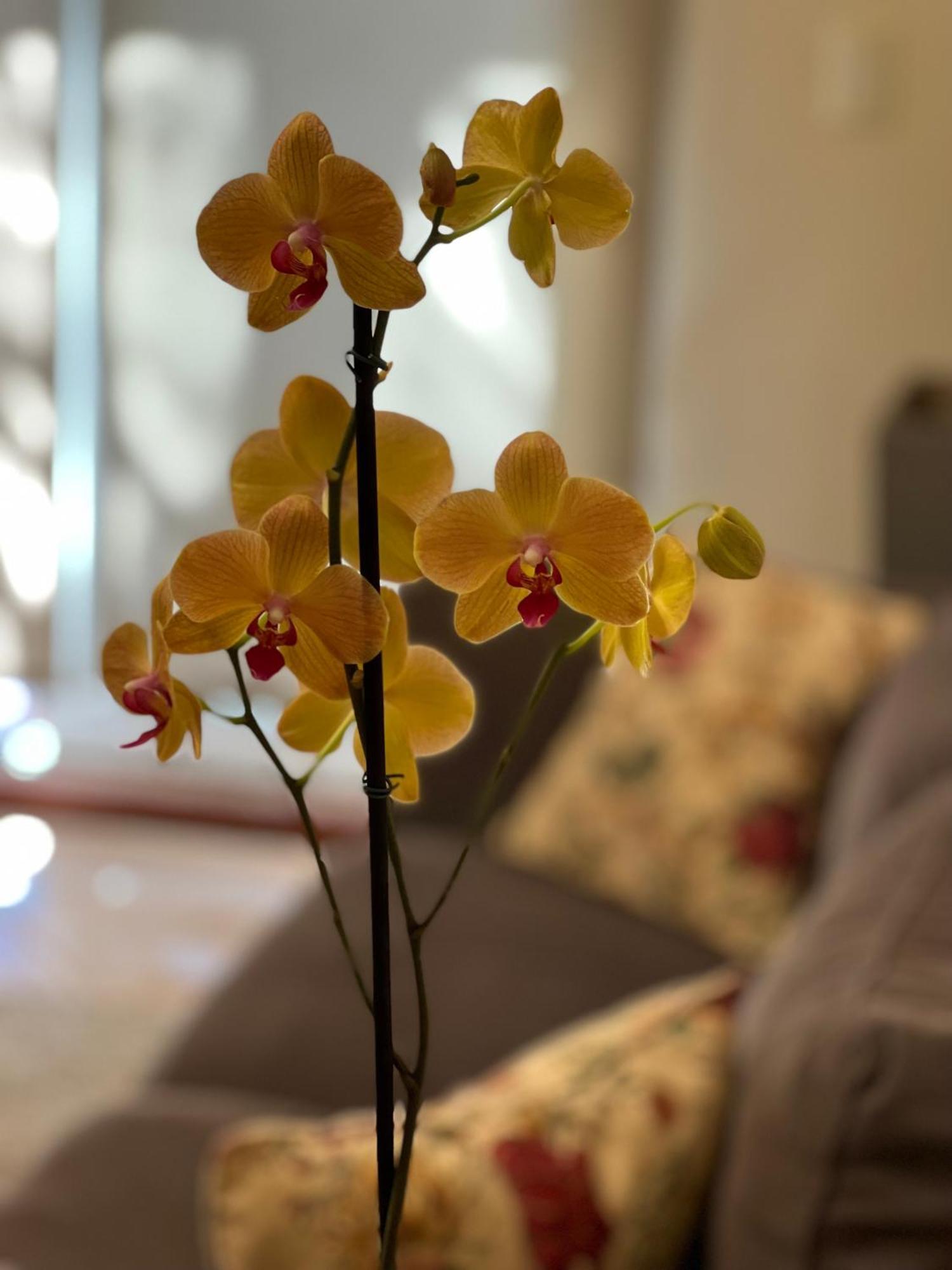 Flora Apartments Puerto Iguazú Zewnętrze zdjęcie